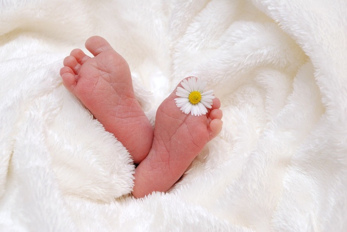 Surrogacy Services